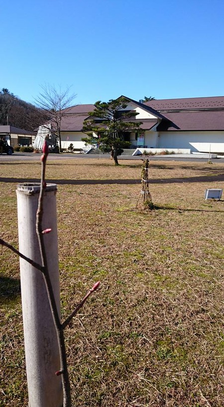 こけしかん3