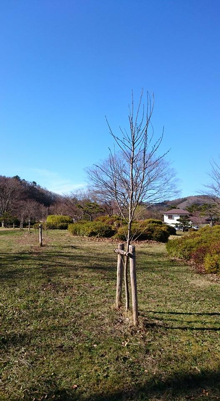 こけし館