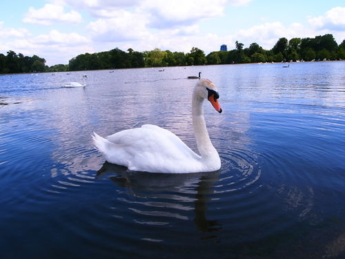 R0014485-s