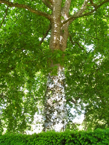 R0014407-s