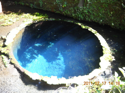 DSCN4877