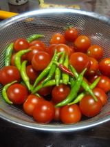 c87ebba8.jpg