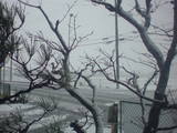 雪