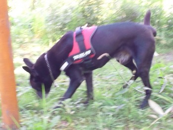 2012-09-07 14:02:01 写真1