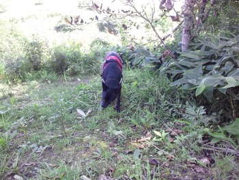 2012-09-07 14:04:40 写真1