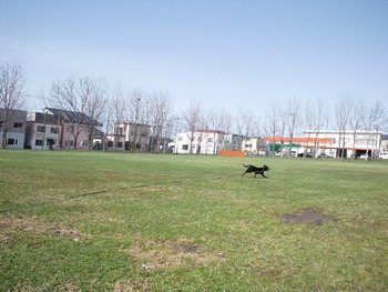 鳴海公園 006