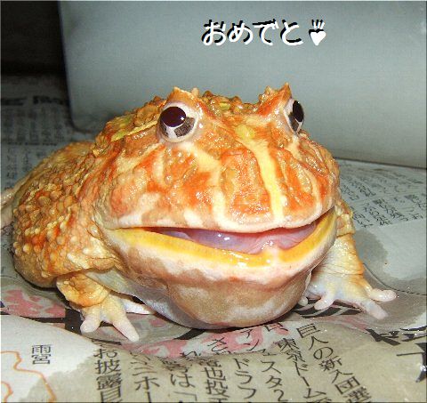 おめでと♪