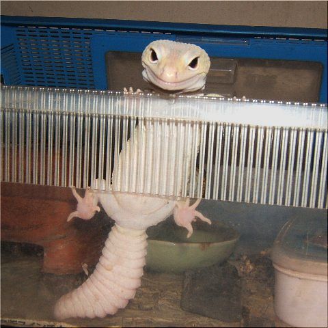 食べて食べられて?(1)