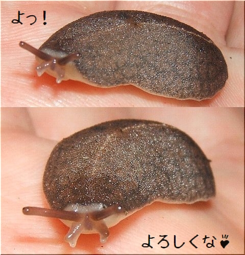 空を飛ぶ(0)