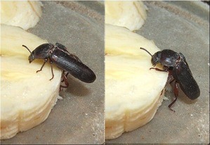 独り占め(2)