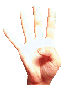 sign4