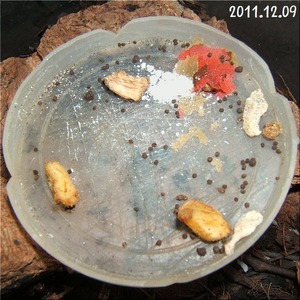謎の糞(1)