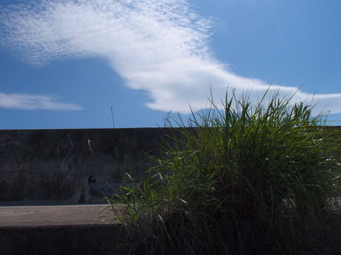 2011_0624tuyu0086