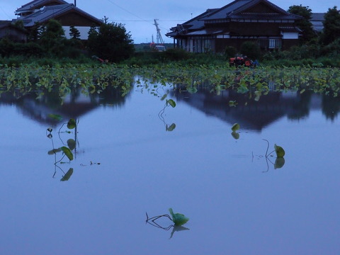 2011_0624tuyu0049