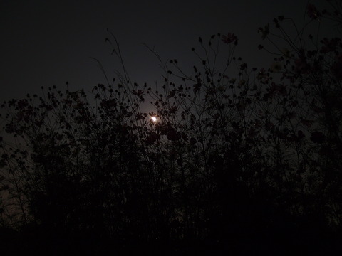 2011_1012moon20008