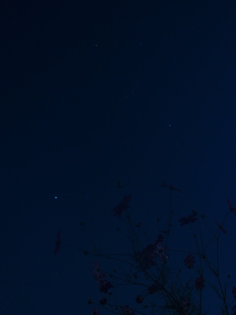 2011_1012moon20019