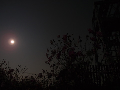 2011_1012moon20009