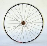 UltraTerra TNT(R)