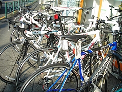 Cannondale Road