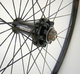 ztr%20det5