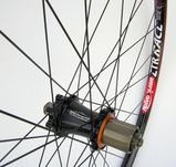 ztr%20det