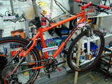 Dean Colonel XTR orange backside view