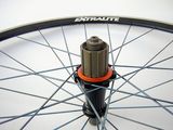 extralite wheelset ti