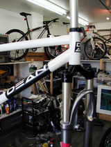 scout white front