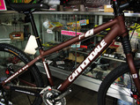 f4 mocha brown chainring