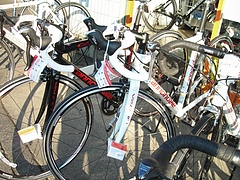 Cannondale Road