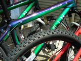 DSCN2342