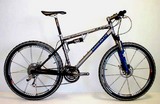 Full Suspension ACE 2006