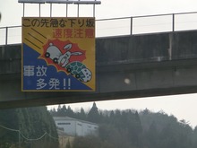 CIMG2500
