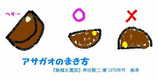 朝顔百科