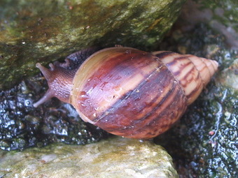 DSCF4110