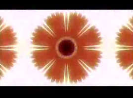 h06