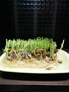 201203271906000