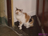 �Ƕ�Υߡ������01