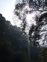takachiho-kyo-light