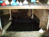 東本宮ご神水