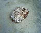 d77974c5.jpg