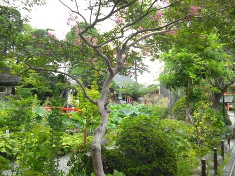 P1070500