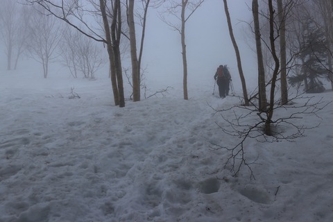 20190423070448_IMG_7979