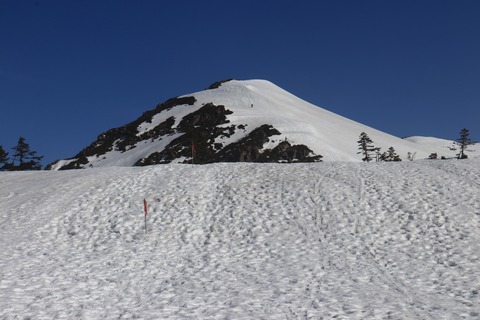 20190423080735_IMG_7999
