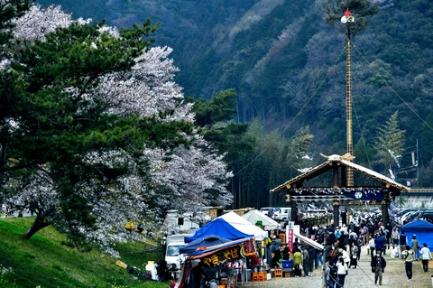 行波神舞2019-3