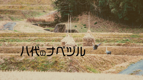 八代のナベヅル2019HD
