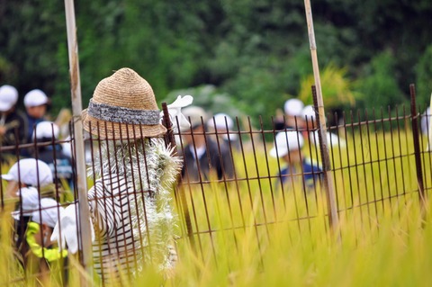 伊保木_収穫祭2018-63