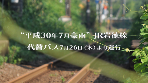 岩徳線代替バスHD