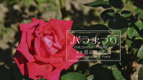 ばらまつり2018