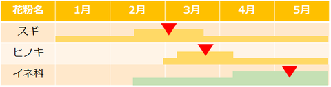 花粉シーズン表
